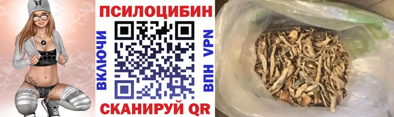 продажа наркотиков Брюховецкая Галлюциногенные грибы MAGIC MUSHROOMS